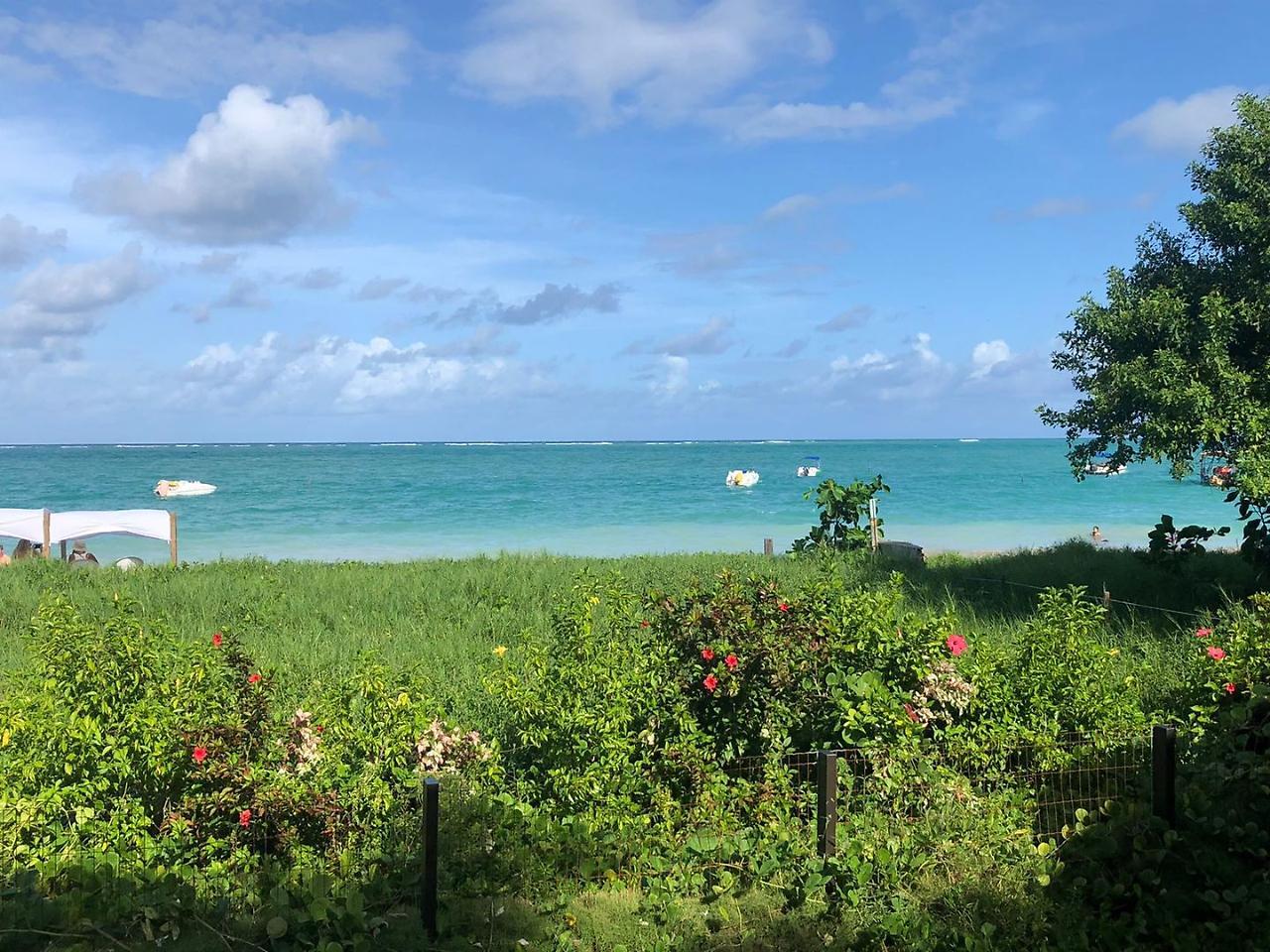 Pousada Ponta De Mangue Maragogi Dış mekan fotoğraf
