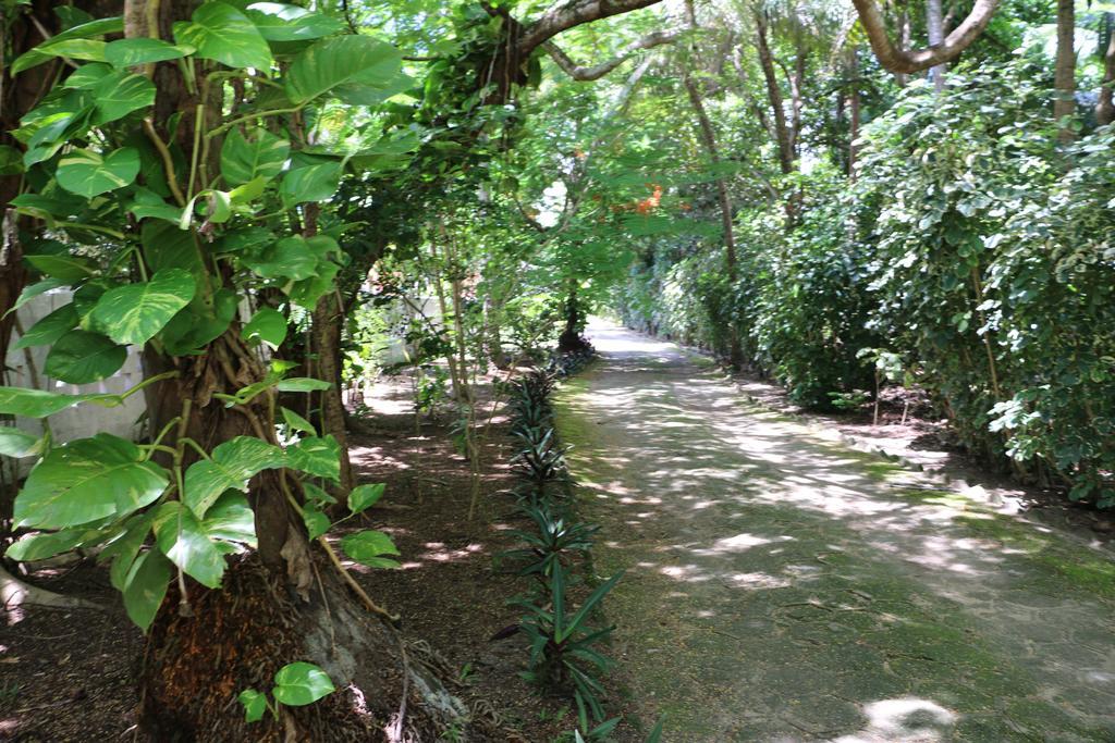 Pousada Ponta De Mangue Maragogi Dış mekan fotoğraf